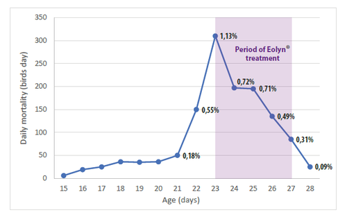 Mortality Eolyn