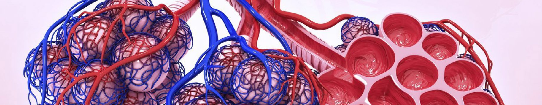 Respiratory Health