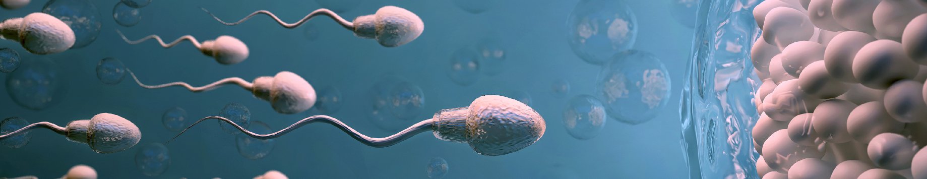Breeder fertility and start-up
