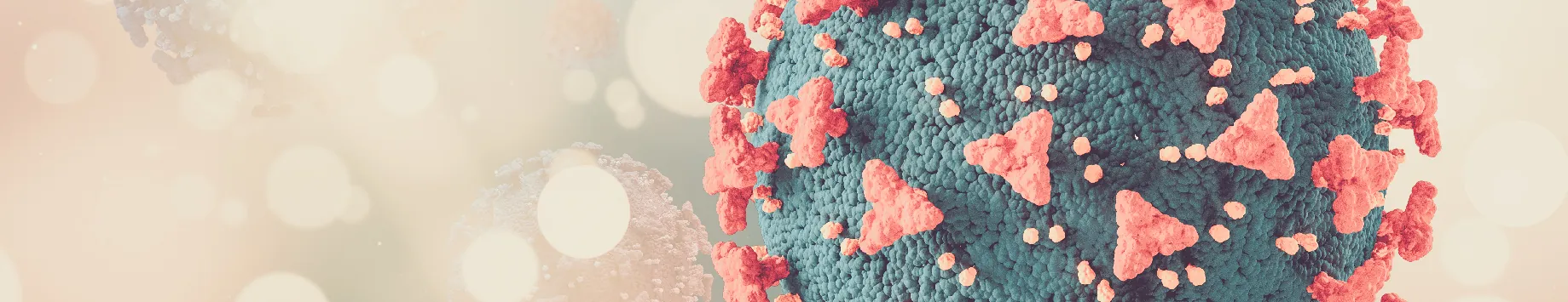 Mycotoxin Management