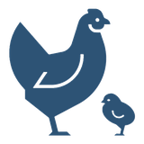 Icon for Poultry