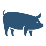 Icon for Swine category