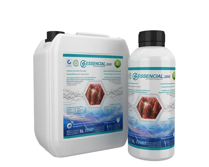 Mockup for Essencial One® product
