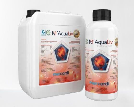 Mockup for M'AquaLiv product