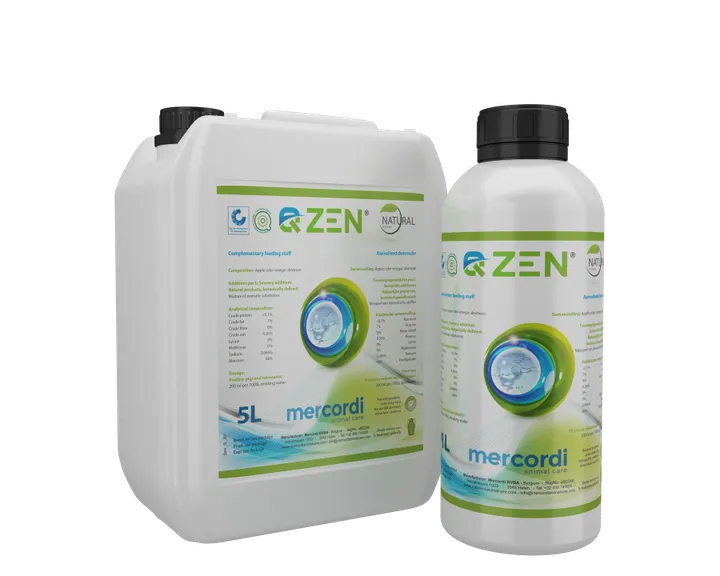 Mockup for Qzen® product