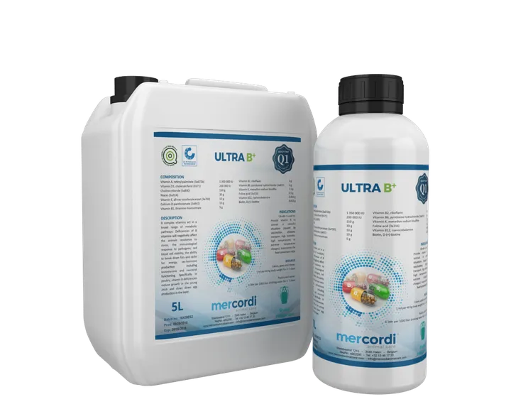 Verpakking van ULTRA B+®