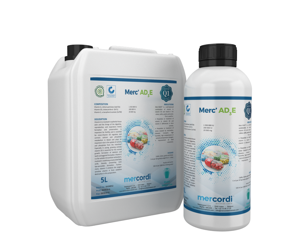 Mockup for MerC'AD3E® product