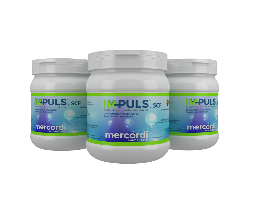 Mockup for Implus SCF® product