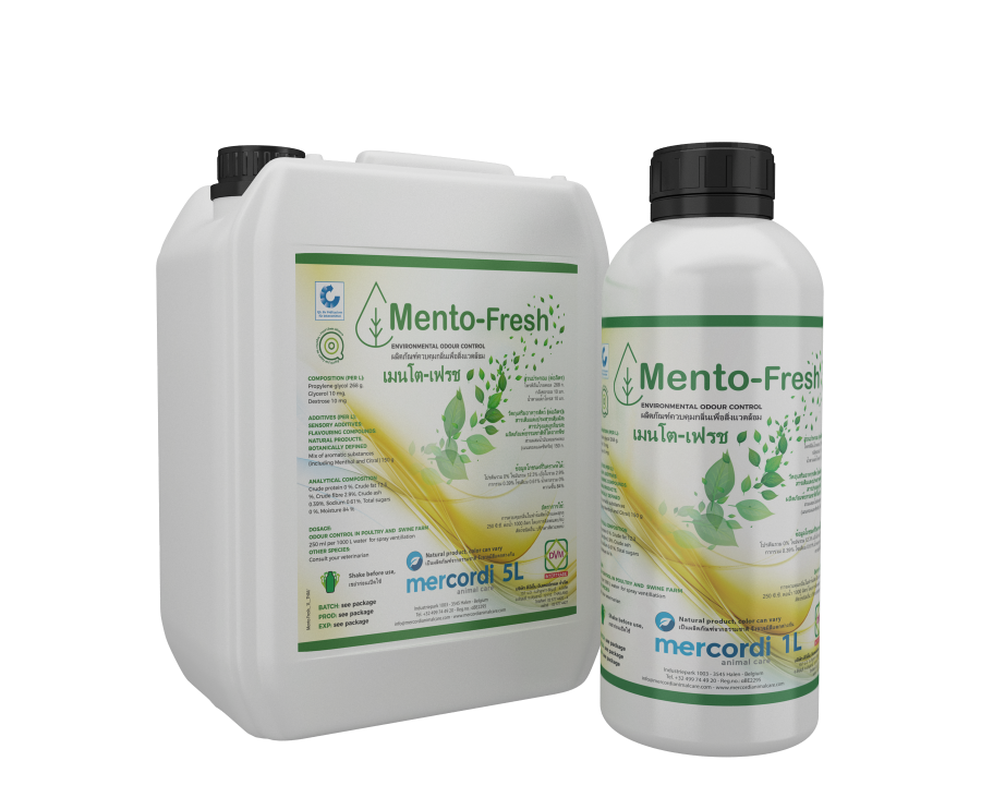 Mockup for Mento-Fresh® product