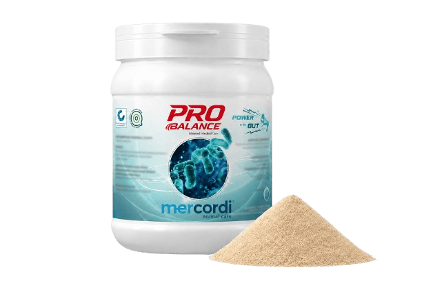 Mockup for ProBalance® product