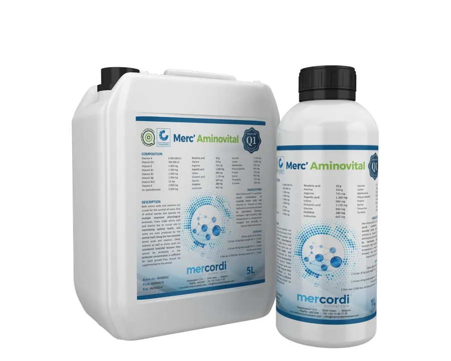 Opakowanie Merc'Aminovital 651®
