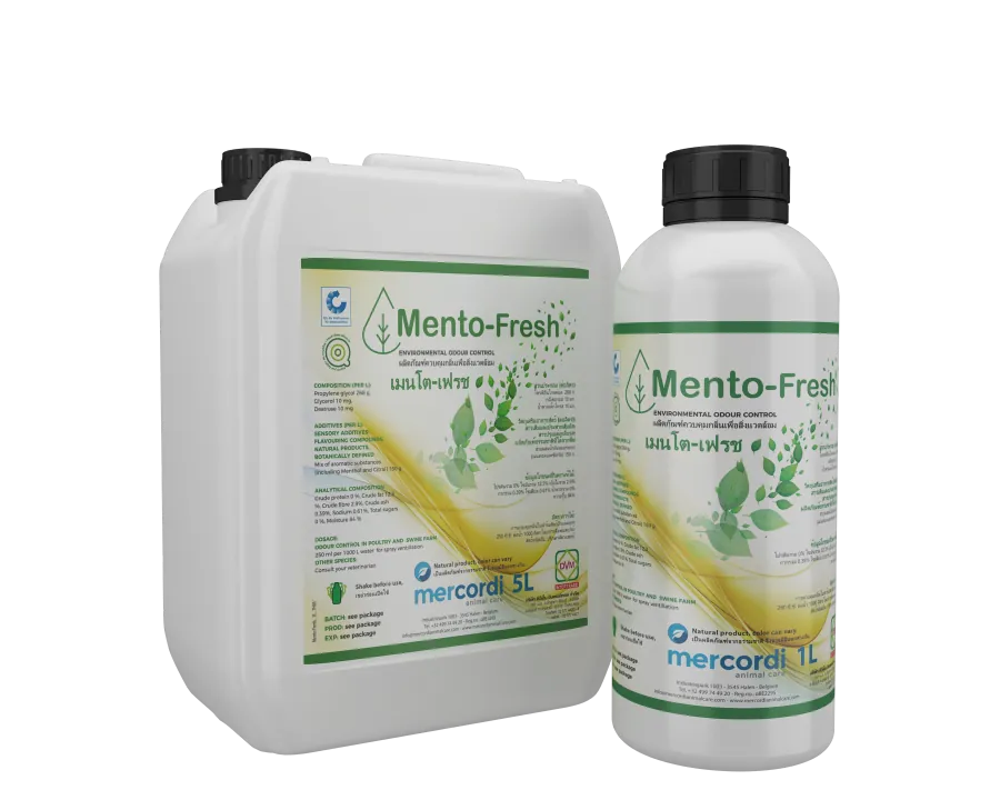 Mento-Fresh® packaging