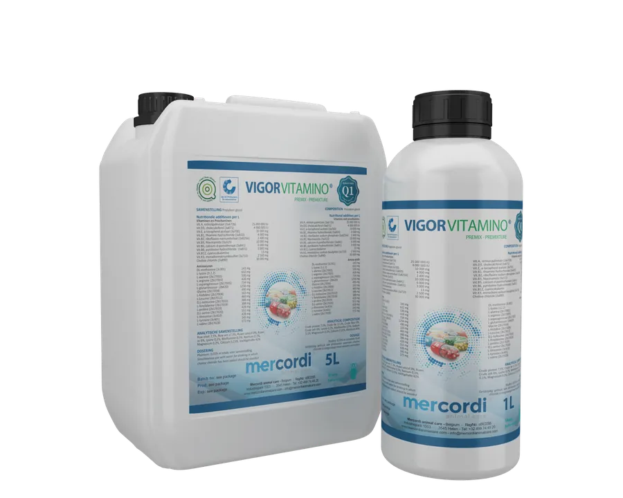 Verpakking van Vigorvitamino®